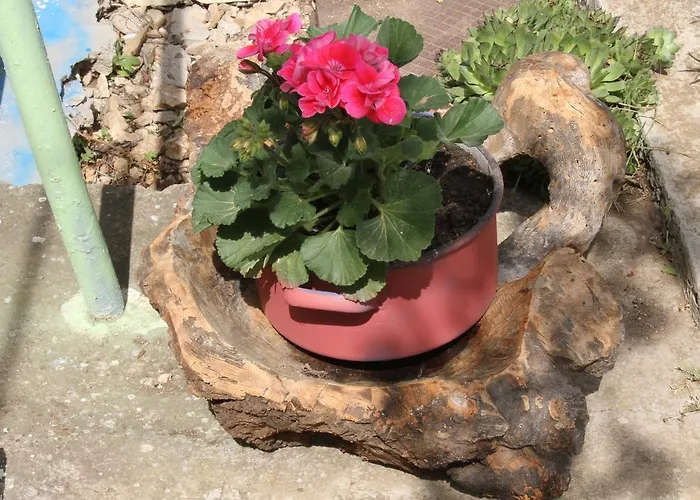 게스트하우스 Barone 4